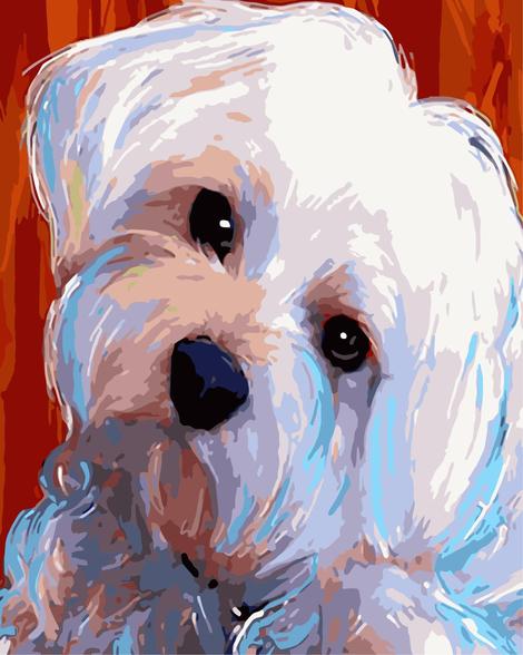 Dog Diy Paint By Numbers Kits UK PE0311