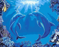 Dream Dolphin Diy Paint By Numbers Kits MA206