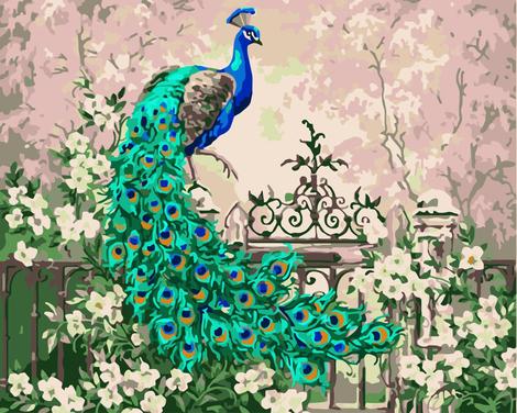 Peacock Diy Paint By Numbers Kits UK AN0666