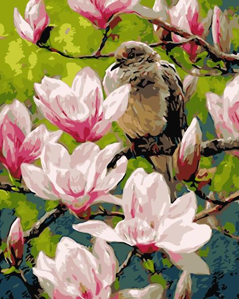 Bird Diy Paint By Numbers Kits UK FA0092