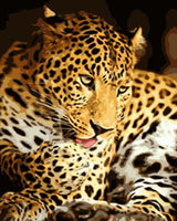 Leopard Diy Paint By Numbers Kits UK AN0823