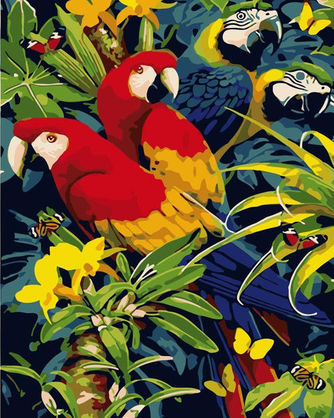 Parrot Diy Paint By Numbers Kits Uk WM-1321