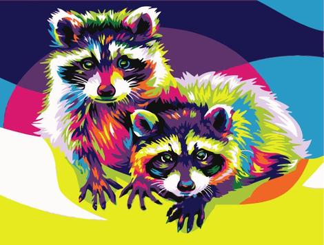 Raccoon Diy Paint By Numbers Kits UK AN0887