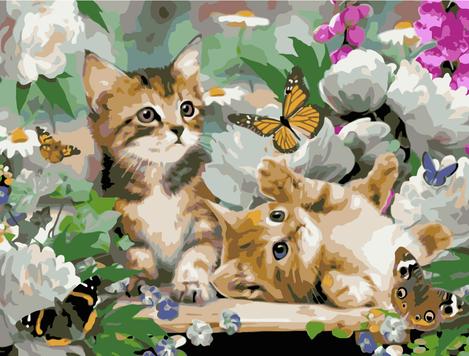 Cat Diy Paint By Numbers Kits UK PE0170