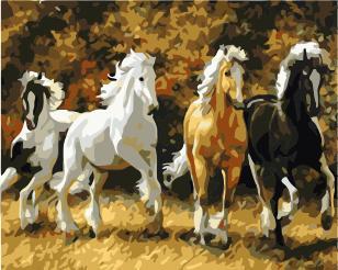 Horse Diy Paint By Numbers Kits UK AN0312