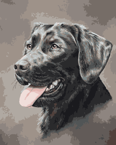 Black Dog Diy Paint By Numbers Kits UK PE0036