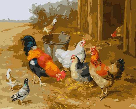 Cock Diy Paint By Numbers Kits UK FA0143