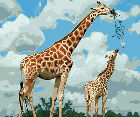 Giraffe Diy Paint By Numbers Kits UK AN0481