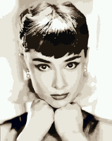 Audrey Hepburn Diy Paint By Numbers Kits UK PO0125