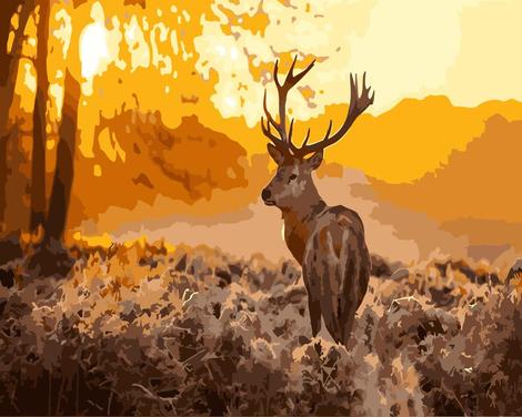 Deer Diy Paint By Numbers Kits UK AN0629