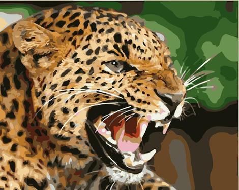 Leopard Diy Paint By Numbers Kits UK AN0822