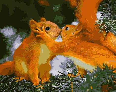 Squirrel Diy Paint By Numbers Kits UK AN0907