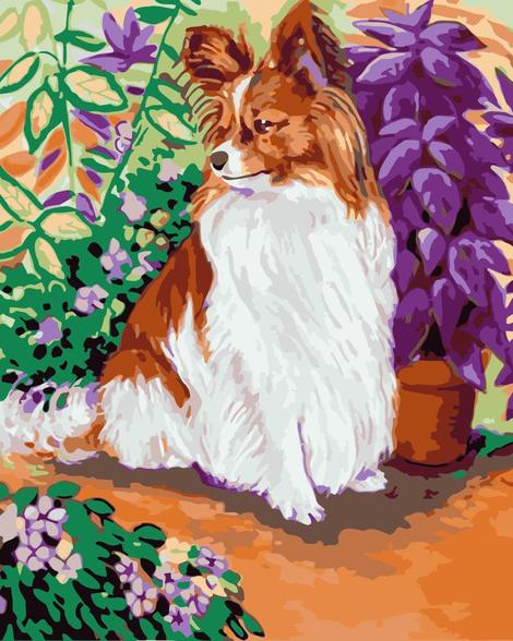 Dog Diy Paint By Numbers Kits UK PE0382