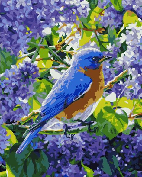 Bird Diy Paint By Numbers Kits UK FA0105