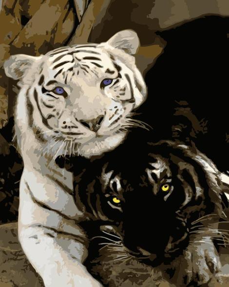 Animal Tiger Diy Paint By Numbers Kits UK AN0347