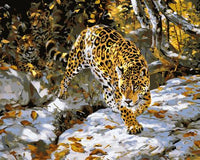 Leopard Diy Paint By Numbers Kits UK AN0824