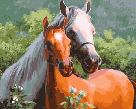 Horse Diy Paint By Numbers Kits UK AN0315