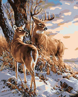 Deer Diy Paint By Numbers Kits UK AN0660