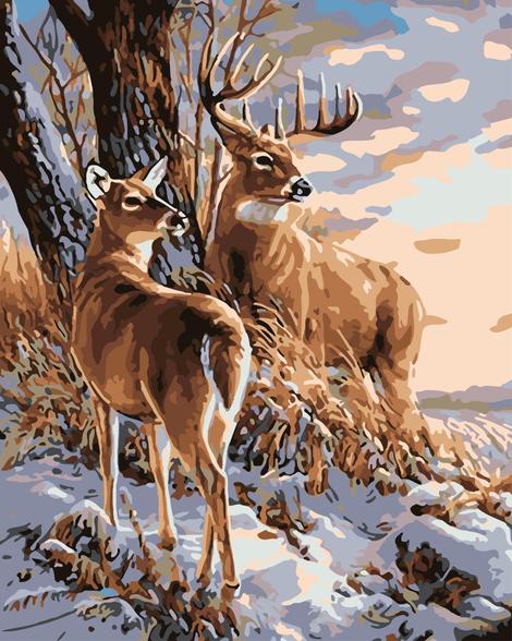 Deer Diy Paint By Numbers Kits UK AN0660