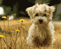 Cute Dog Diy Paint By Numbers Kits UK PE0050