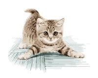 Cute Cat Diy Paint By Numbers Kits UK PE0210