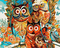 Owl Diy Paint By Numbers Kits UK FA0023