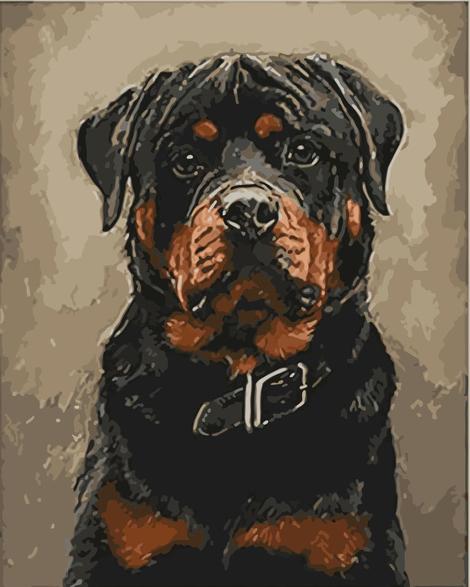 Pet Black Dog Diy Paint By Numbers Kits UK PE0041