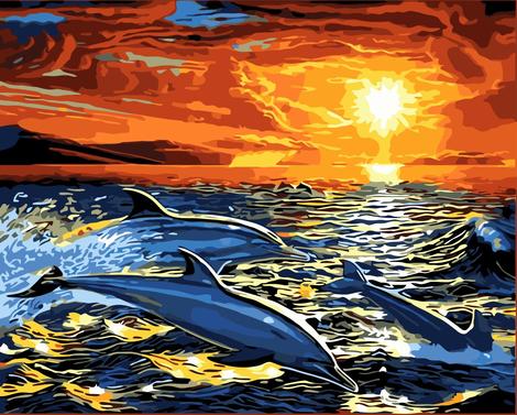 Dream Dolphin Diy Paint By Numbers Kits MA194