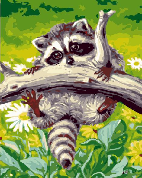 Raccoon Diy Paint By Numbers Kits UK AN0890