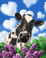 Cow Diy Paint By Numbers Kits UK FA0005