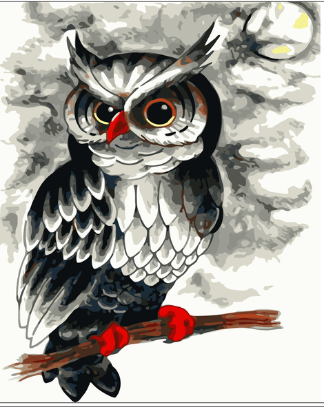 Owl Diy Paint By Numbers Kits UK FA0065