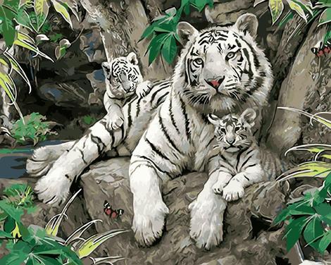 Animal Tiger Diy Paint By Numbers Kits UK AN0378