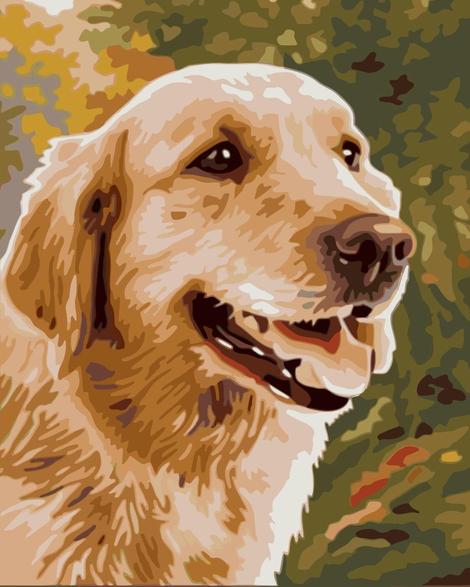 Cute Dog Diy Paint By Numbers Kits UK PE0040