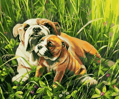 Dog Diy Paint By Numbers Kits UK PE0384