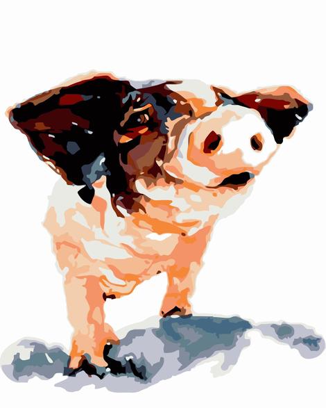 Pig Diy Paint By Numbers Kits UK FA0125