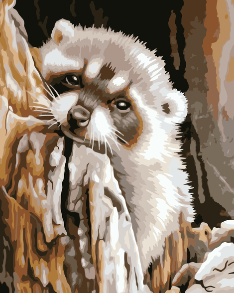 Raccoon Diy Paint By Numbers Kits UK AN0894