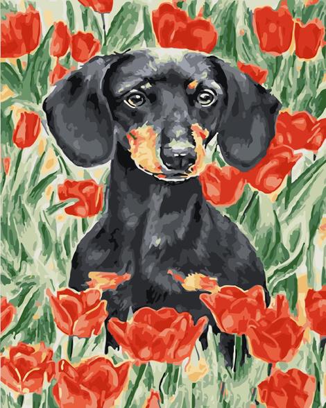 Flower Dog Diy Paint By Numbers Kits UK PE0049