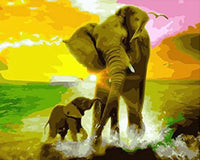 Elephant Diy Paint By Numbers Kits UK AN0223