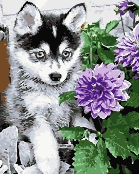 Flower Dog Diy Paint By Numbers Kits UK PE0407