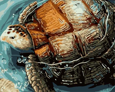 Turtle Diy Paint By Numbers Kits MA230