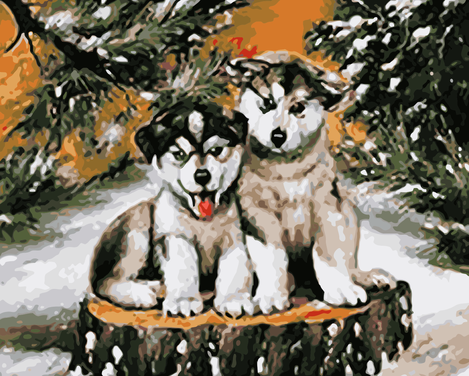 Snow Dog Diy Paint By Numbers Kits UK PE0441