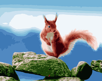Squirrel Diy Paint By Numbers Kits UK AN0908