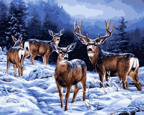 Deer Diy Paint By Numbers Kits UK AN0645