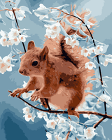 Squirrel Diy Paint By Numbers Kits UK AN0898