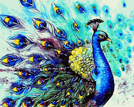 Peacock Diy Paint By Numbers Kits UK AN0665