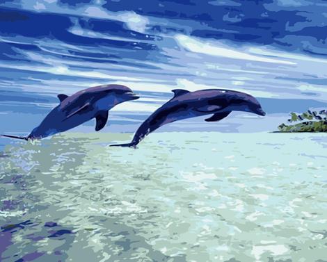 Dream Dolphin Diy Paint By Numbers Kits MA207