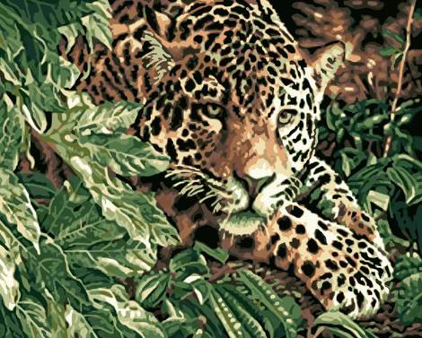 Leopard Diy Paint By Numbers Kits UK AN0842