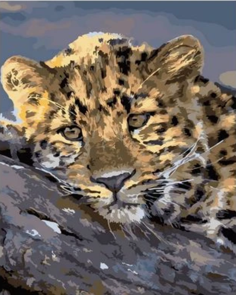 Animal Leopard Diy Paint By Numbers Kits UK AN0811