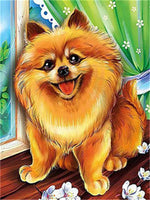 Dog Paint By Numbers Kits UK PE0099