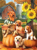 Cat & Dog Paint By Numbers Kits UK PE0075